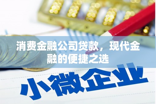 双河消费金融公司贷款，现代金融的便捷之选