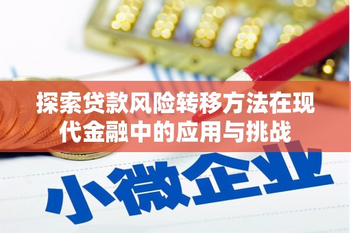 双河探索贷款风险转移方法在现代金融中的应用与挑战