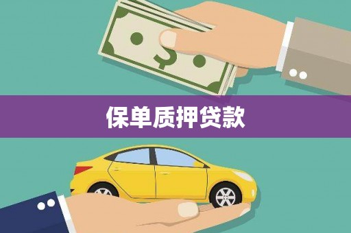 双河保单质押贷款