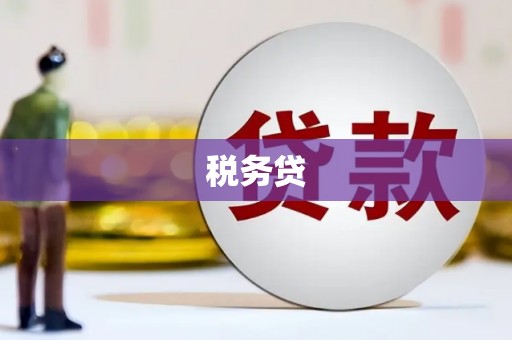 双河税务贷