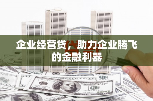 双河企业经营贷，助力企业腾飞的金融利器