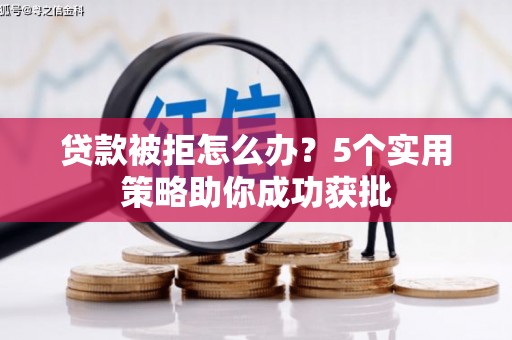 双河贷款被拒怎么办？5个实用策略助你成功获批