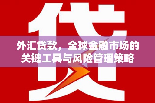 双河外汇贷款，全球金融市场的关键工具与风险管理策略