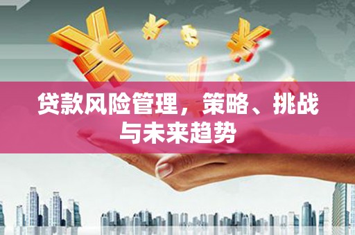 双河贷款风险管理，策略、挑战与未来趋势