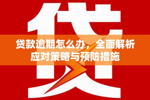 双河贷款逾期怎么办，全面解析应对策略与预防措施