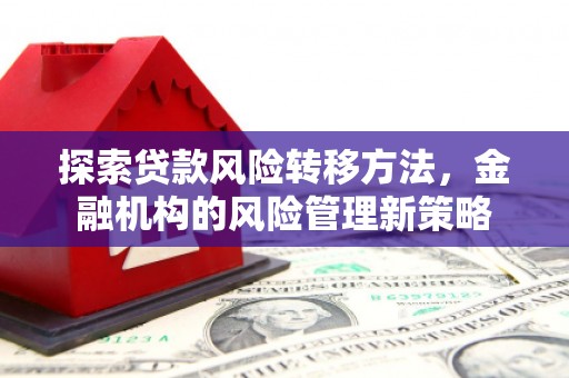 双河探索贷款风险转移方法，金融机构的风险管理新策略