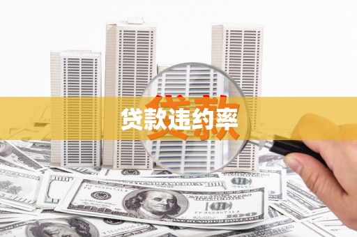 双河贷款违约率