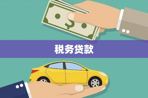 双河税务贷款