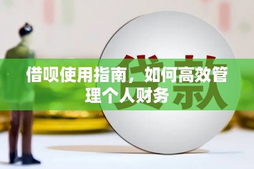 双河借呗使用指南，如何高效管理个人财务