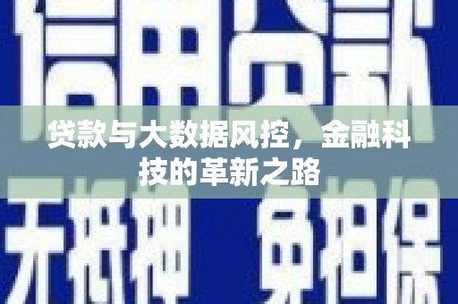 双河贷款与大数据风控，金融科技的革新之路