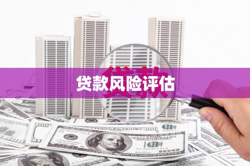 双河贷款风险评估