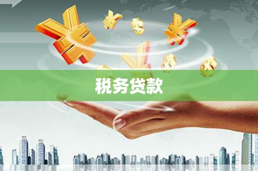 双河税务贷款