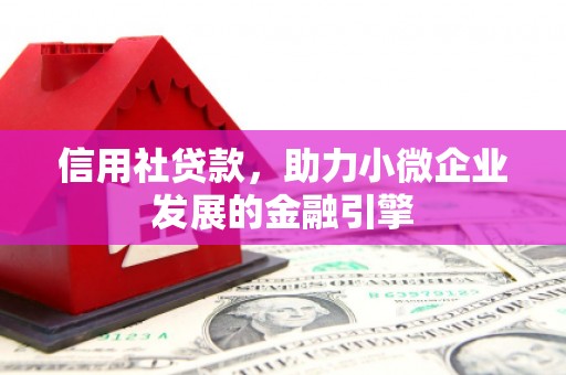 双河信用社贷款，助力小微企业发展的金融引擎