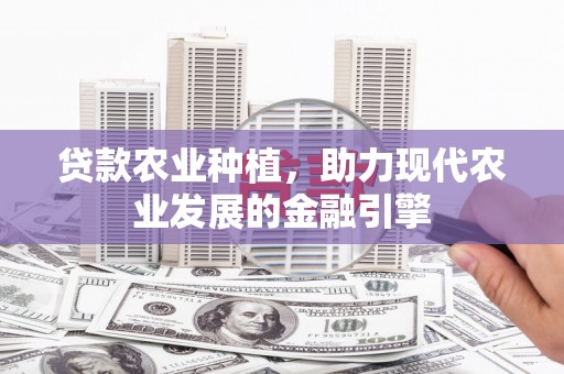 双河贷款农业种植，助力现代农业发展的金融引擎