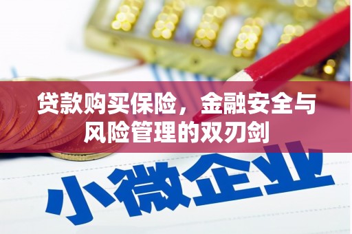 双河贷款购买保险，金融安全与风险管理的双刃剑