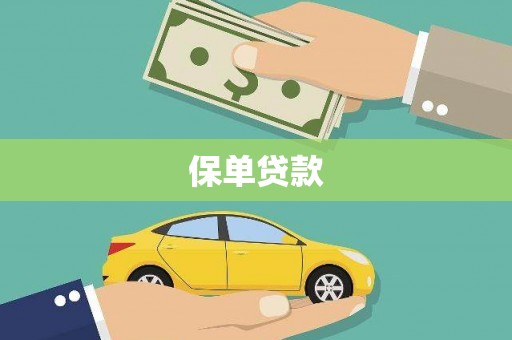 双河保单贷款