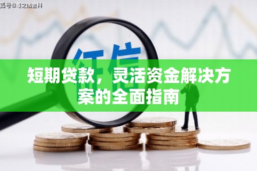 双河短期贷款，灵活资金解决方案的全面指南
