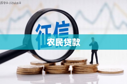 双河农民贷款