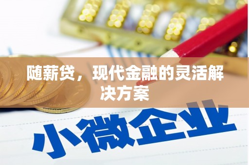 双河随薪贷，现代金融的灵活解决方案