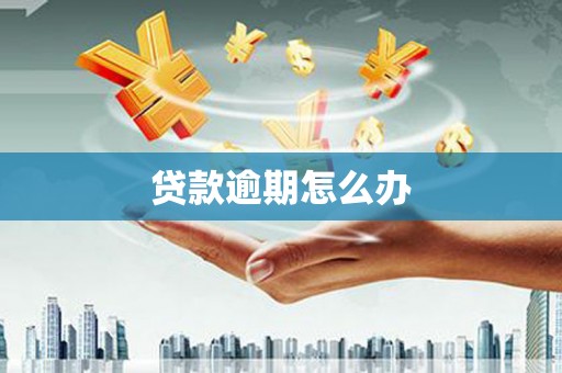 双河贷款逾期怎么办