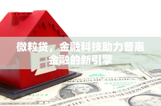 双河微粒贷，金融科技助力普惠金融的新引擎