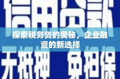 双河探索税务贷的奥秘，企业融资的新选择