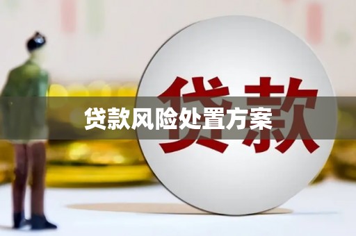 双河贷款风险处置方案