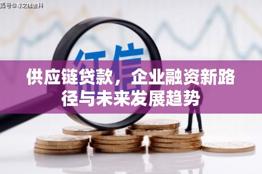 双河供应链贷款，企业融资新路径与未来发展趋势
