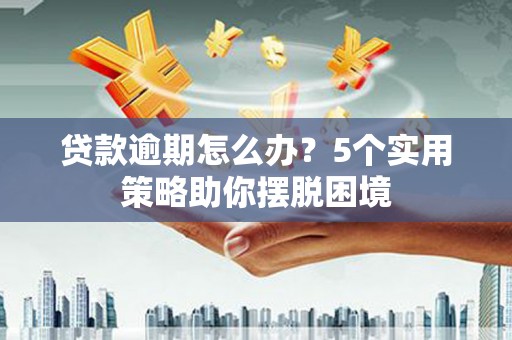 双河贷款逾期怎么办？5个实用策略助你摆脱困境