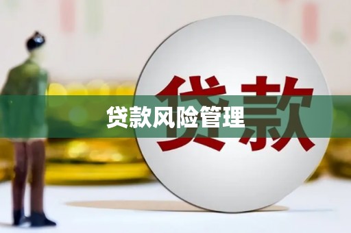 双河贷款风险管理
