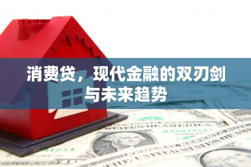 双河消费贷，现代金融的双刃剑与未来趋势