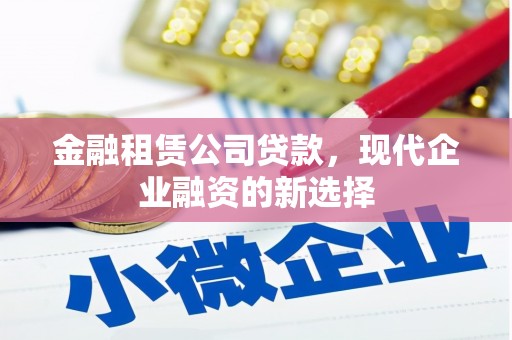 双河金融租赁公司贷款，现代企业融资的新选择