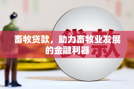 双河畜牧贷款，助力畜牧业发展的金融利器