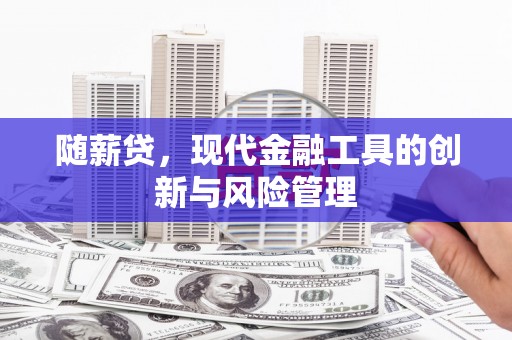 双河随薪贷，现代金融工具的创新与风险管理