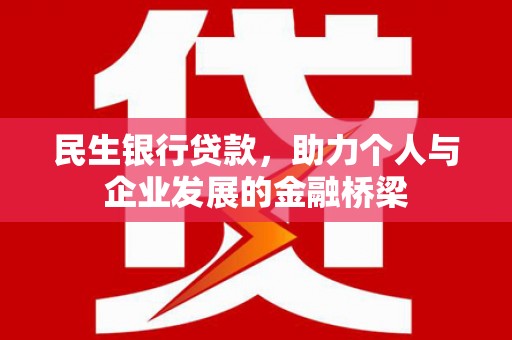 双河民生银行贷款，助力个人与企业发展的金融桥梁