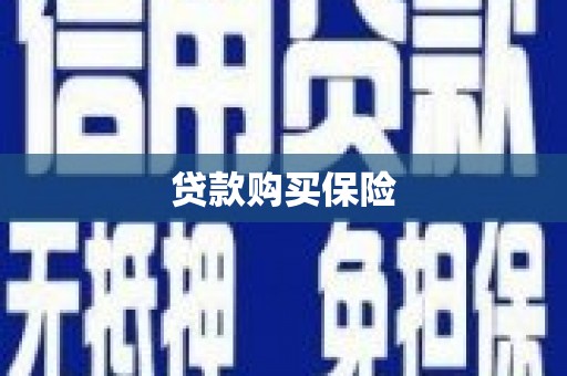 双河贷款购买保险