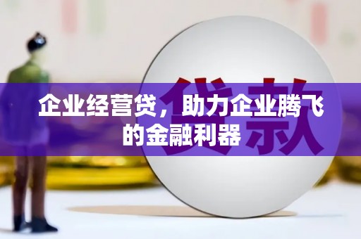 双河企业经营贷，助力企业腾飞的金融利器
