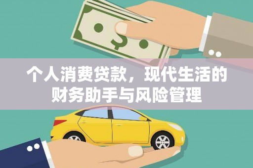 双河个人消费贷款，现代生活的财务助手与风险管理