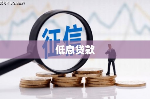 双河低息贷款
