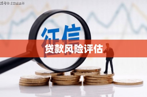 双河贷款风险评估