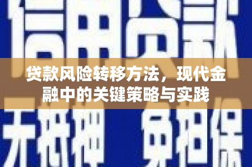 双河贷款风险转移方法，现代金融中的关键策略与实践