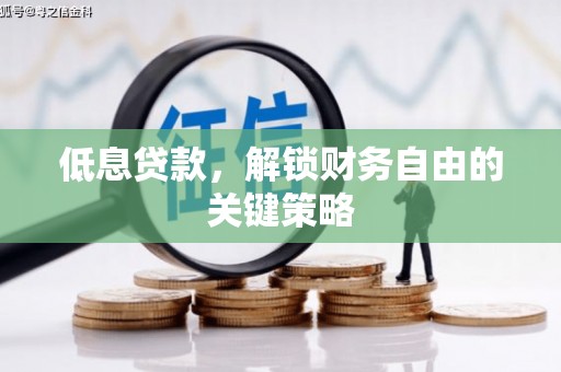 双河低息贷款，解锁财务自由的关键策略