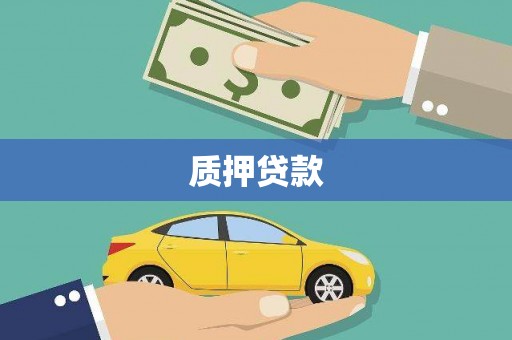 双河质押贷款