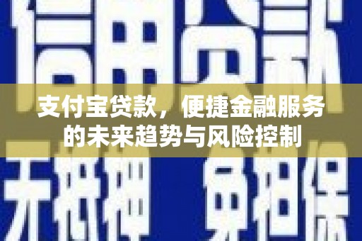 双河支付宝贷款，便捷金融服务的未来趋势与风险控制