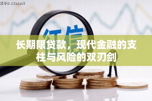 双河长期限贷款，现代金融的支柱与风险的双刃剑