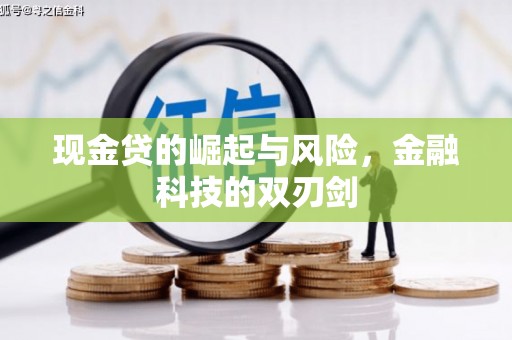 双河现金贷的崛起与风险，金融科技的双刃剑