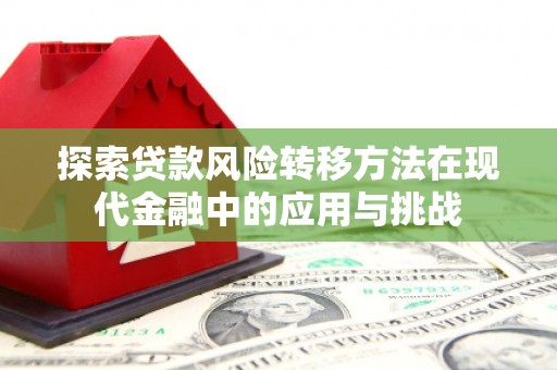 双河探索贷款风险转移方法在现代金融中的应用与挑战