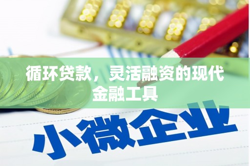 双河循环贷款，灵活融资的现代金融工具