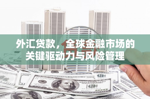 双河外汇贷款，全球金融市场的关键驱动力与风险管理