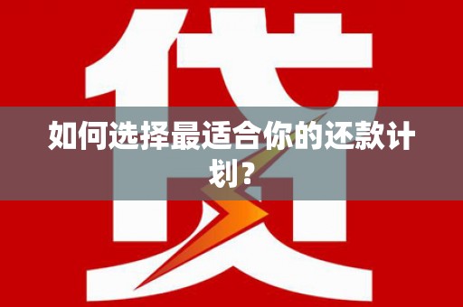 双河如何选择最适合你的还款计划？